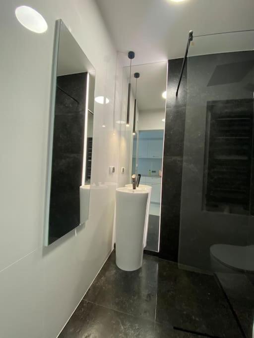 Mirror Apartment Serock